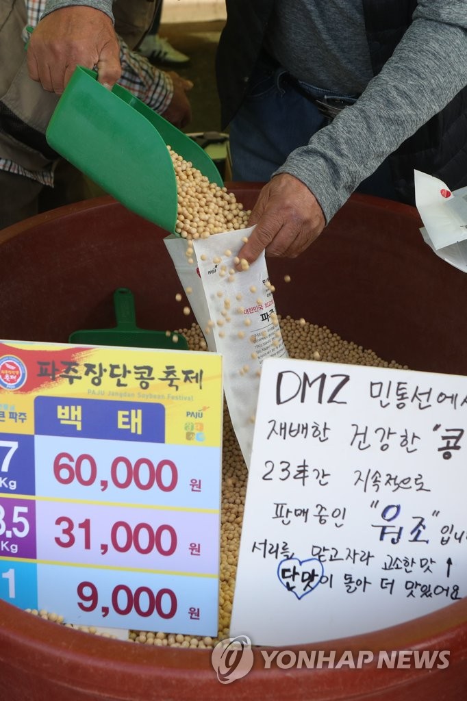 청정지역 민통선 파주 장단콩