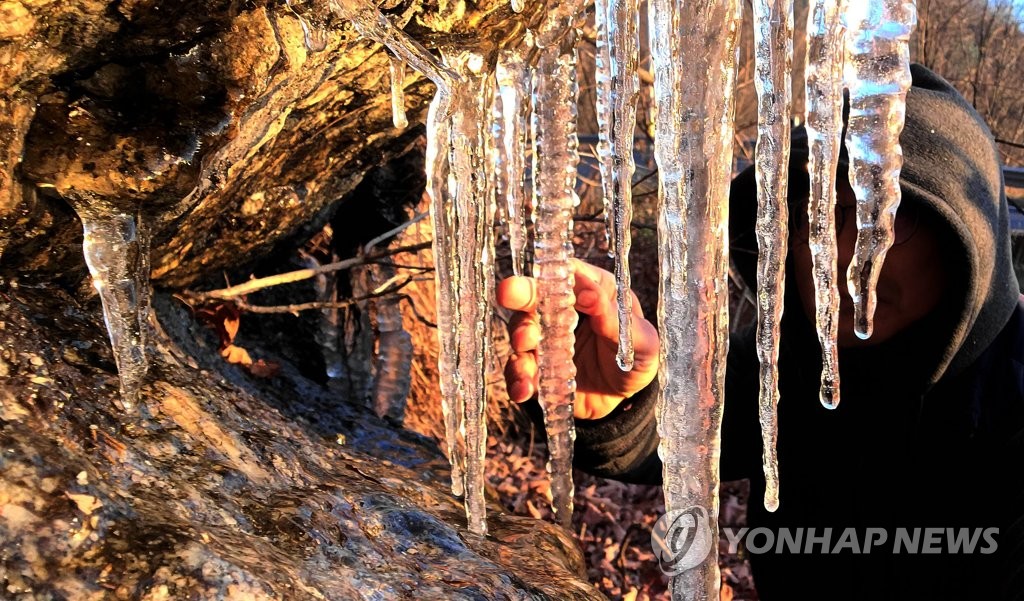 다시 추위 찾아온 대관령
