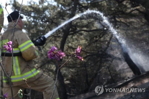 '화마가 삼킨 봄'