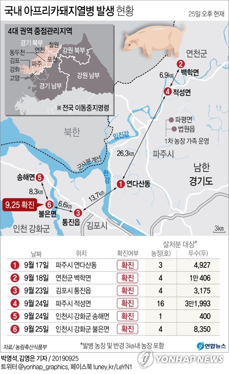 강화서 연이틀 아프리카돼지열병 비상…국내 발생 6건으로 늘어(종합) - 2