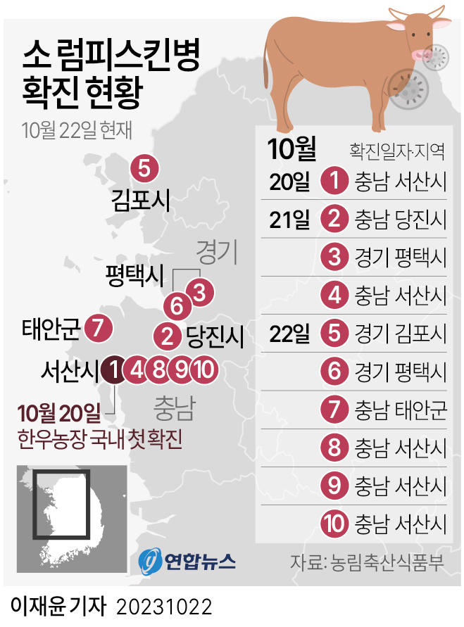 [그래픽] 소 럼피스킨병 확진 현황