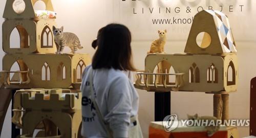 صادرات كوريا الجنوبية من منتجات الحيوانات الأليفة تصل إلى مستوى قياسي حتى الأول من سبتمبر - 3