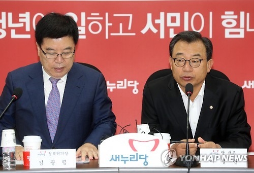 (2nd LD) Hanjin Group mulls 100 bln won to ease cargo chaos