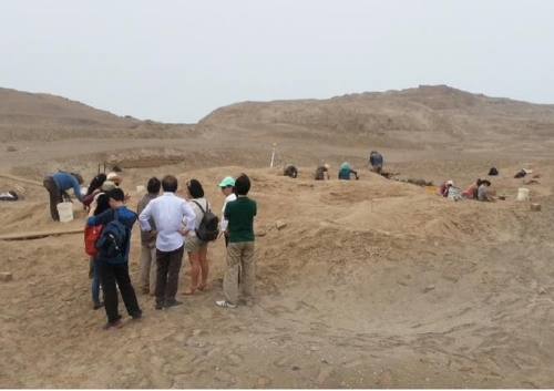 This undated photo, provided by KOICA on July 12, 2017, shows a historic site in Peru where excavation work is underway. (Yonhap) 