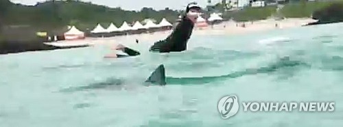 Swimmers evacuated after shark spotted off Jeju | Yonhap News Agency