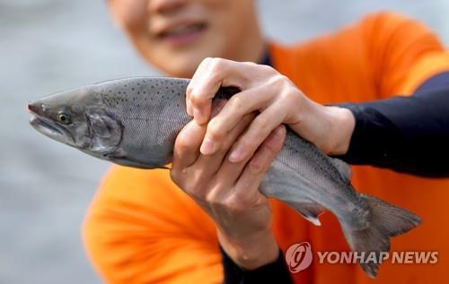 This photo provided by Hwacheon County Office shows a tourist showing off a mountain trout caught with his bare hands during an event of the 2020 Hwacheon Sancheoneo Ice Festival on Feb. 2, 2020. (PHOTO NOT FOR SALE) (Yonhap)