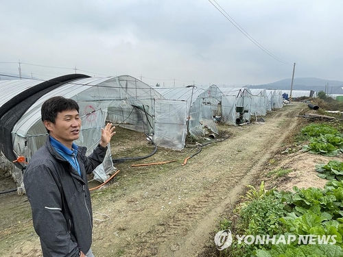  S. Korean farmers struggle from labor shortage as pandemic disrupts migrant work system