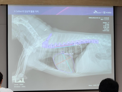 SK Telecom develops AI-based pet dog diagnostics platform for veterinarians