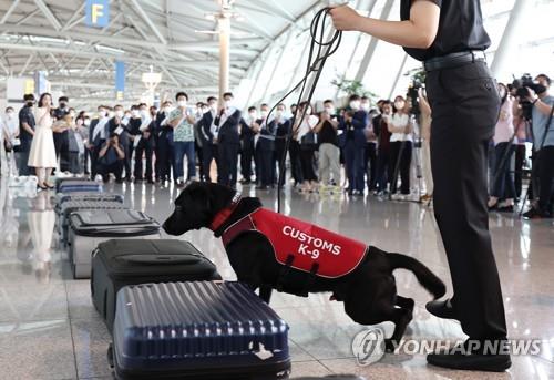 Detection dogs can sniff out only 6 drugs, not newly emerging drugs: lawmaker