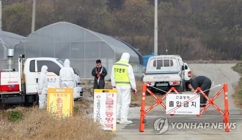 S. Korea reports new African swine fever case in 2 months
