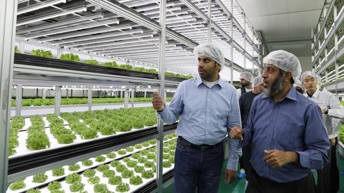 In this file photo provided by Nongshim Co., government officials from Oman are seen examining the company's smart farm facilities in Gyeonggi Province, south of Seoul, on Nov. 1, 2022. (PHOTO NOT FOR SALE) (Yonhap)