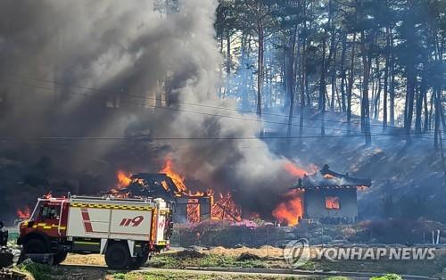 A house and a nearby hill in Gangneung, northeastern South Korea, are engulfed by flames on April 11, 2023, amid high wind and dry weather warnings for east coast areas. (Yonhap)