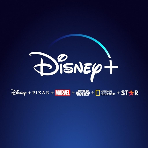 Logo de Disney+ (Photo fournie par Walt Disney Company Korea. Revente et archivage interdits)