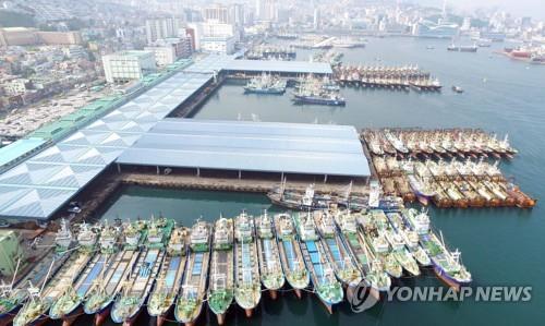 韓日漁業協定の空白７年目　苦境にあえぐ韓国水産業界