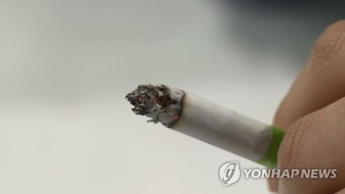 담배 스 우파 임영웅 사과