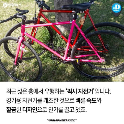 브레이없는 자전거 관련법