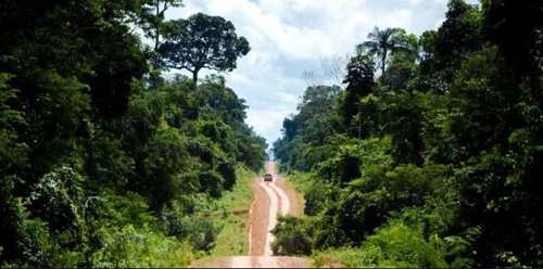 아마존 열대우림을 가로지르는 비포장도로 [국영 뉴스통신 아젠시아 브라질]