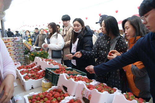 "딸기향에 실려 오는…" 논산 딸기 축제 20일 개막