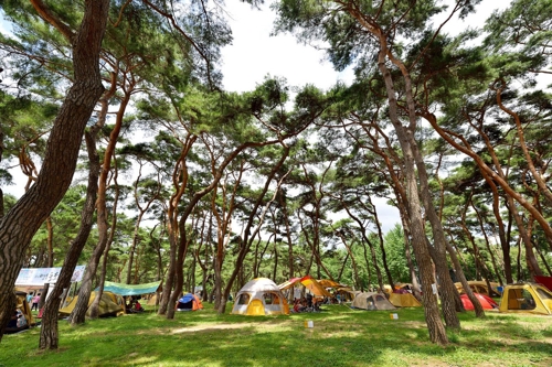 "자연 속 여유 즐겨요" 영동 송호관광지 캠핑장 4월 개장