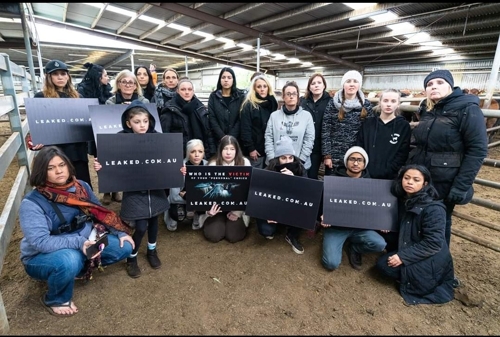 호주 농장시설 안에서 시위를 벌이고 있는 채식주의자들