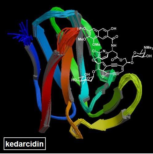 케다시딘의 분자구조와 색소단백질 개념도 