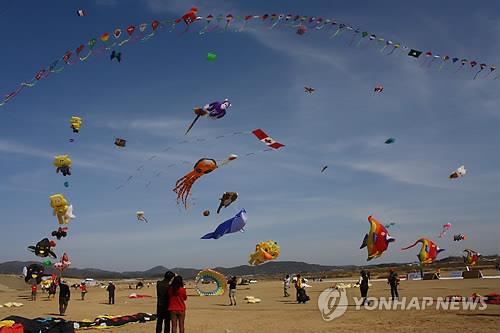 악어·문어·가오리가 난다…'제9회 의성세계연축제'