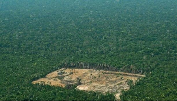 아마존 열대우림에서 벌어진 불법벌목 현장 [브라질 일간 에스타두 지 상파울루]