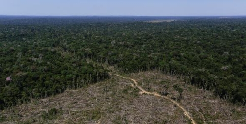 브라질 북부 아마조나스 주(州) 아푸이 지역에 속한 아마존 열대우림이 불법벌목으로 파괴된 모습 [브라질 뉴스포털 UOL]