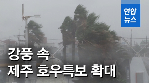 [영상] 태풍 '레끼마' 영향…제주 전역 강풍 동반한 강한 비 - 2