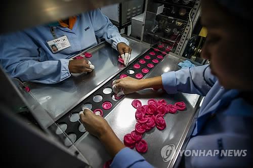 말레이시아의 세계 최대 콘돔업체 카렉스