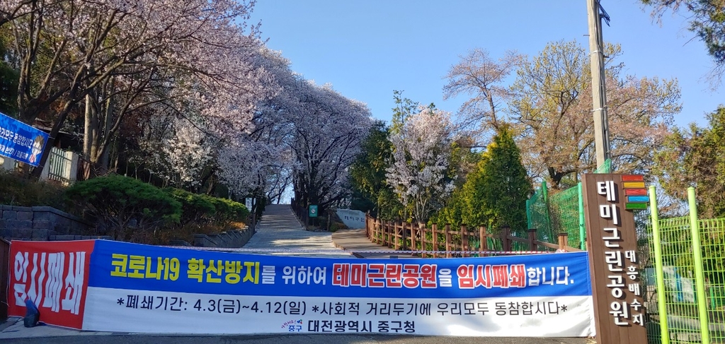 대전 벚꽃 명소