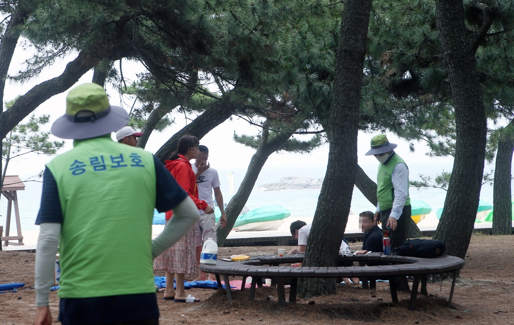 지난달 29일 오후 강원 강릉시 경포 해변 송림에서 단속 요원들이 화로를 설치해 고기를 굽는 피서객들을 단속하고 있다. [촬영 이해용]