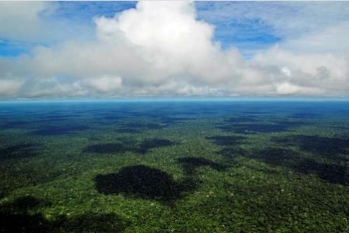'지구의 허파' 아마존 열대우림 [국영 뉴스통신 아젠시아 브라질]