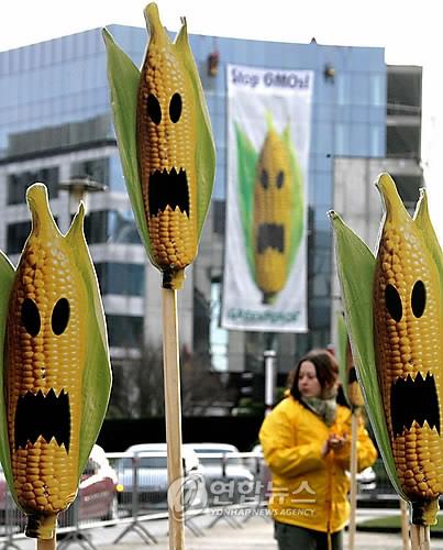 환경운동 단체의 GMO 반대운동