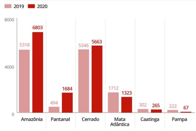 작년 7월과 올해 7월 브라질 6대 삼림 지역의 산불 발생 건수를 비교한 그래프