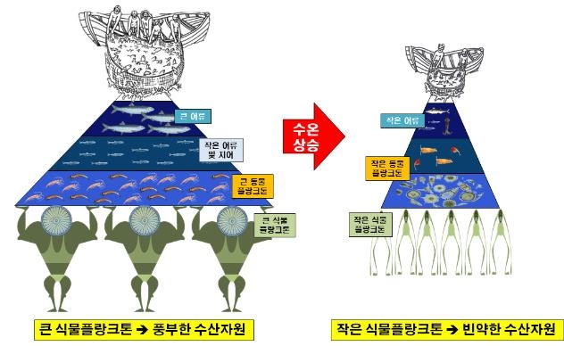 기후변화에 따른 동해 먹이피라미드 변화