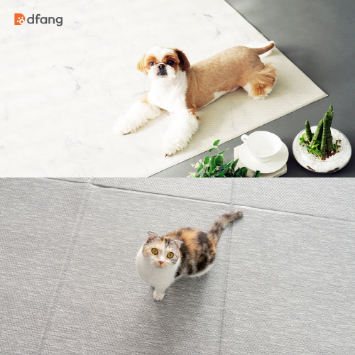 디팡, 11일까지 강아지·고양이 매트 특가 할인 판매 - 1