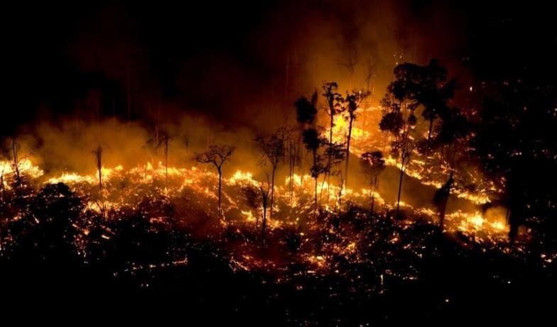 아마존 열대우림 1∼9월 화재 10년 만에 최대