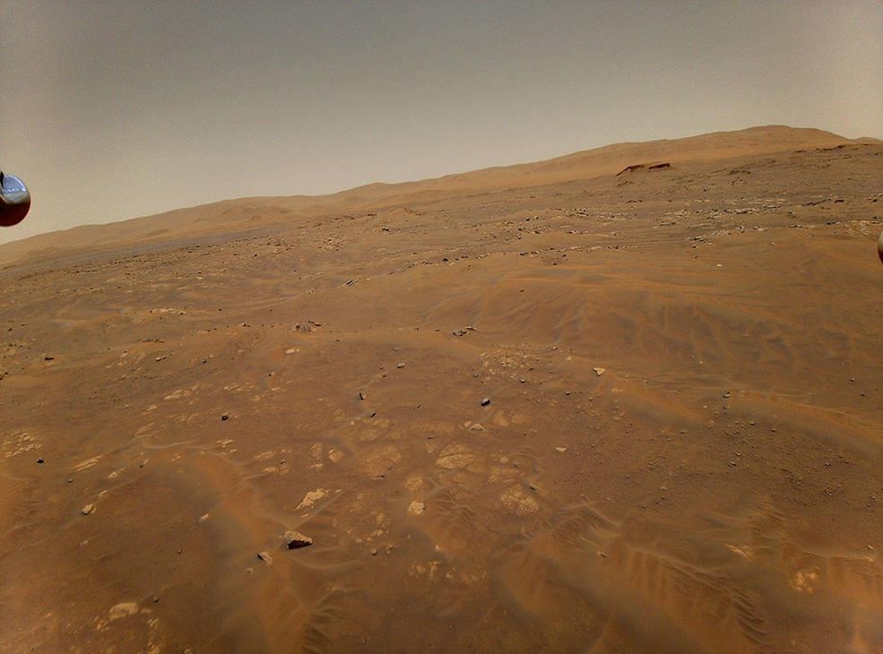 화성 헬기가 10ｍ 높이에 포착한 '세이타' 