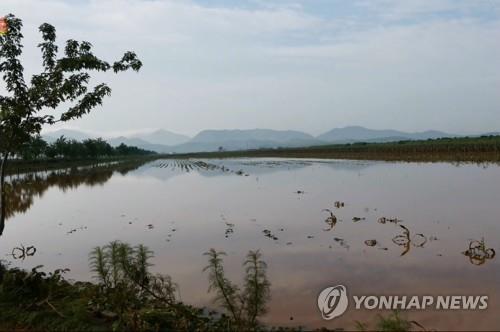 지난해 물바다 된 황해북도의 논밭