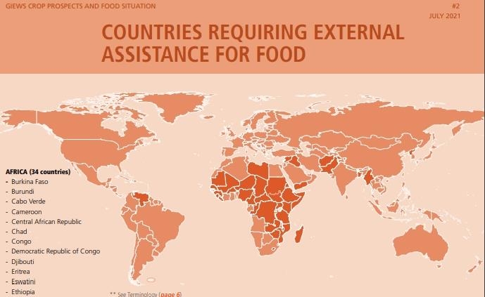 외부식량 지원이 필요한 식량부족국 인포그래픽
