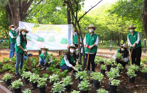 스타벅스 임직원들이 서울숲 내 '쉬었다가길'을 가꾸고 있다.