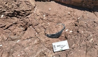 전북 부안 위도 공룡알 화석지에 탐방로 개설