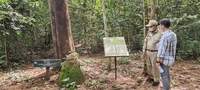 캄보디아 앙코르와트 인근에 한국형 자연휴양림 조성된다