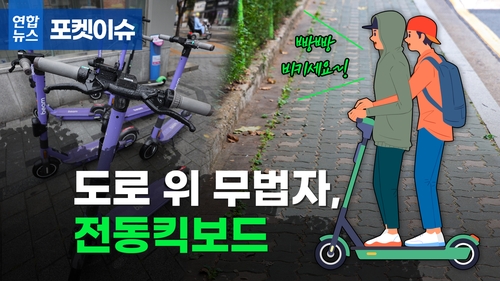 [포켓이슈] 도로 위 무법자, 전동 킥보드
