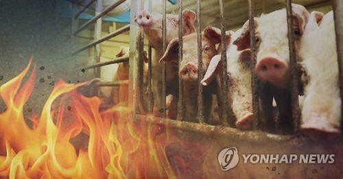 포천 축사에 화재…돼지 450마리 폐사