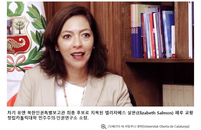 차기 유엔 북한인권특별보고관 최종 후보에 남미 여성학자