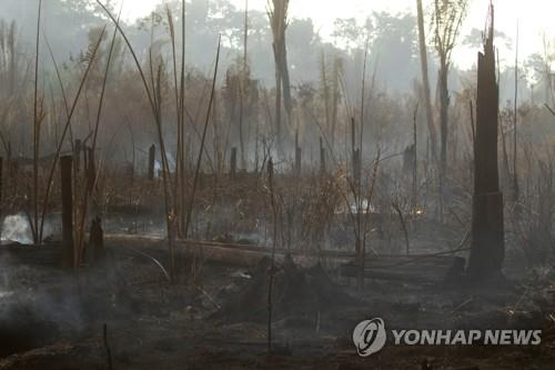 브라질, 삼림 화재 증가 비판에 120일간 전국에 방화금지령