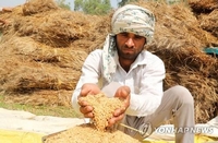 인도, 밀 이어 밀가루도 수출 규제…