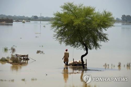 홍수로 물에 잠긴 파키스탄 남서부 발루치스탄주 마을.